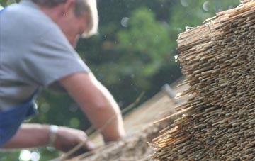 professional Trumfleet thatchers