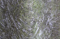 Trumfleet fibreglass roof work