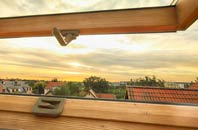 rated Trumfleet roof window companies